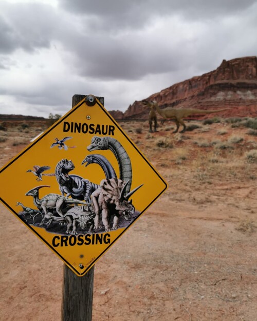 IM US 2024 3f9613f4874a8ba4e