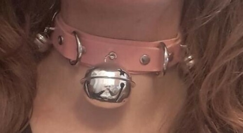 IMG 20210212 WA000615e9e5bcb80e3342