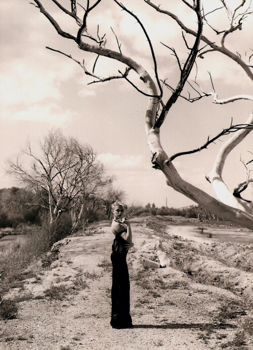 IMG 0002b5065e5a37ca5239