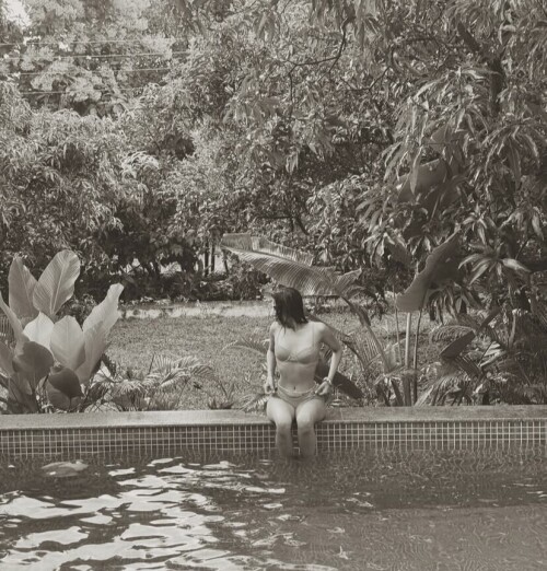 IMG 00226c48e84b4c26fcdd