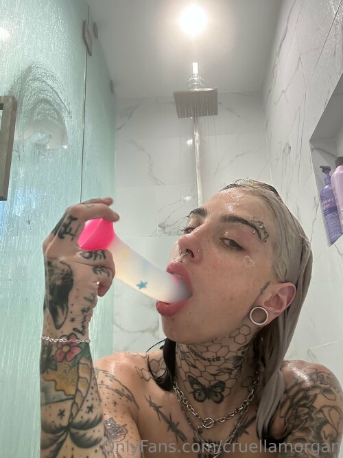 IMG 0075ddb85e481ee6d827