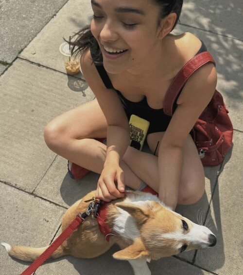 IMG 0115e461976b9633b621