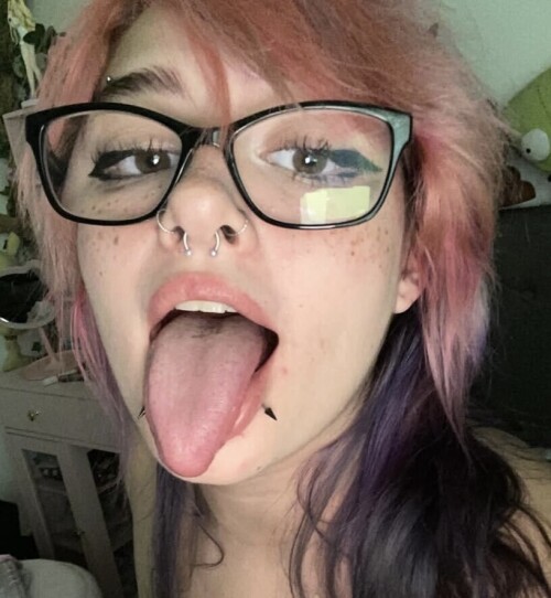 IMG 0133e6c64b4448ef2067