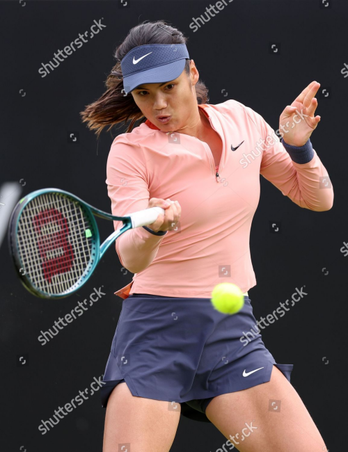 IMG_0205e249403ea1e8e409