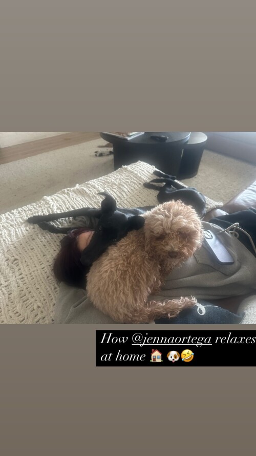 IMG 021902d95f245962c487