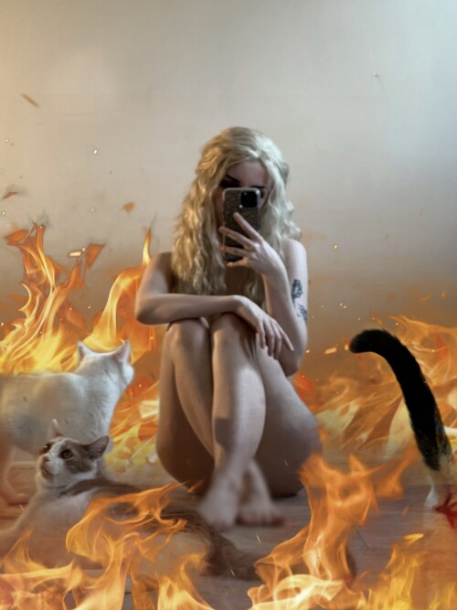 IMG 02193cf2c74732a72426