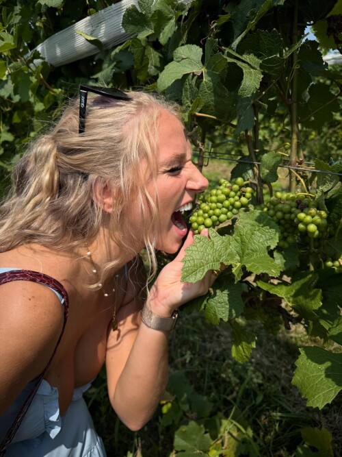 IMG 026143a69c2658ada630