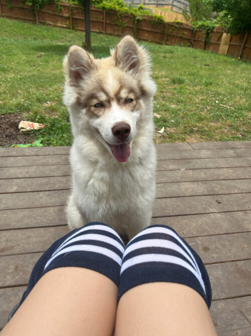 IMG 02734fa7759b1dc69a1a