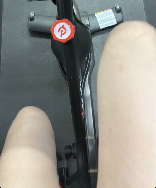 IMG 0296c884389297e87c1c