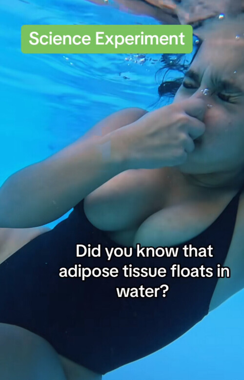 IMG 0323627a2cd8273ccf68