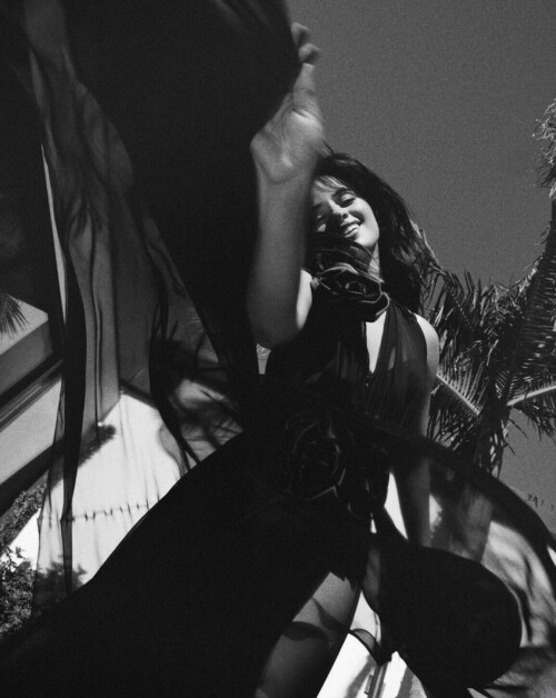 IMG 033295937172729e06b6