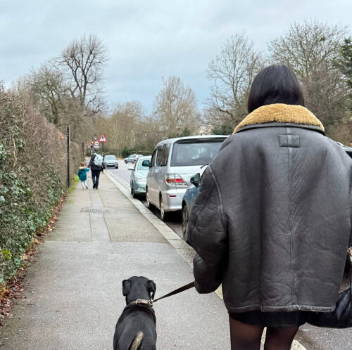 IMG 0337a7a93ca229cbca5f