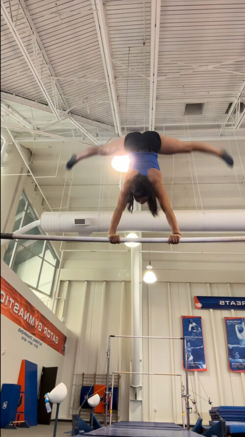 IMG 0394be52c3cd2486cbc9