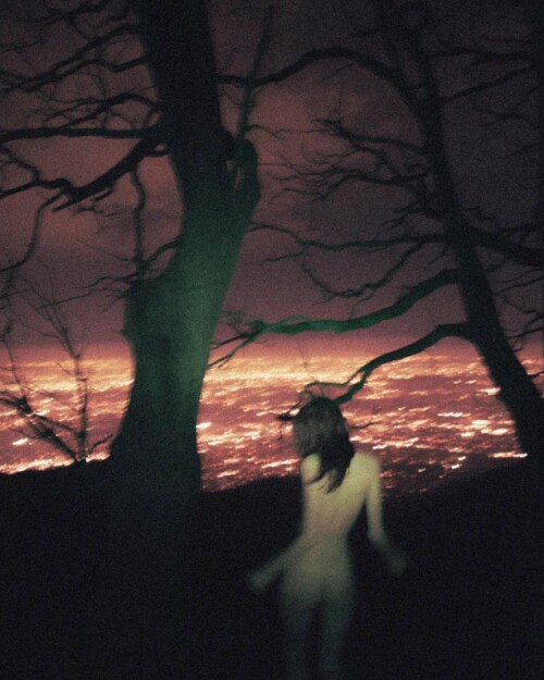 IMG 040207671af8b8c74f65