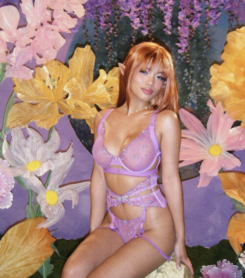 IMG 0410019d617fa795b84d