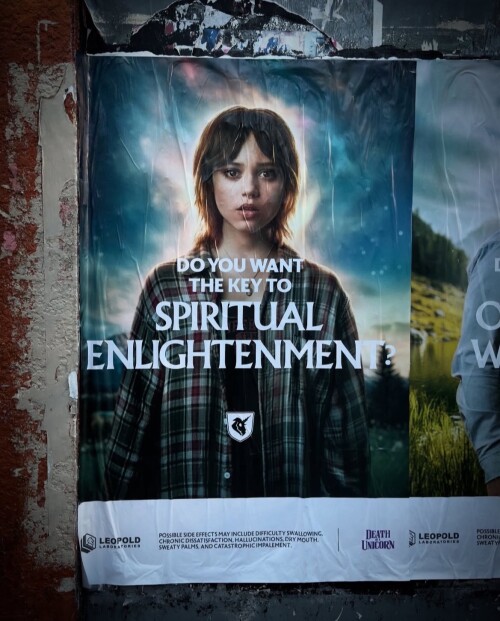 IMG 0480749e7ed2439b0bb5