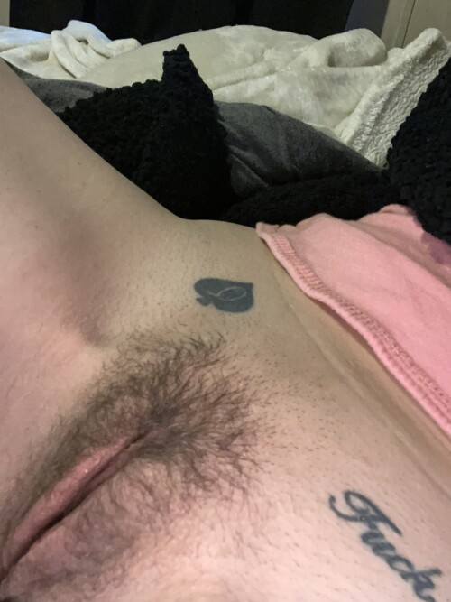 IMG 05971c344e7579012bc8