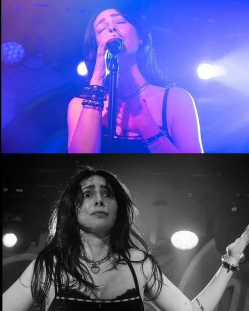 IMG 060087858eb8b4f82b37