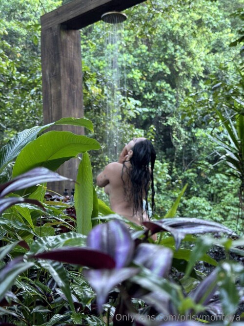 IMG 0616547b0375a812a271