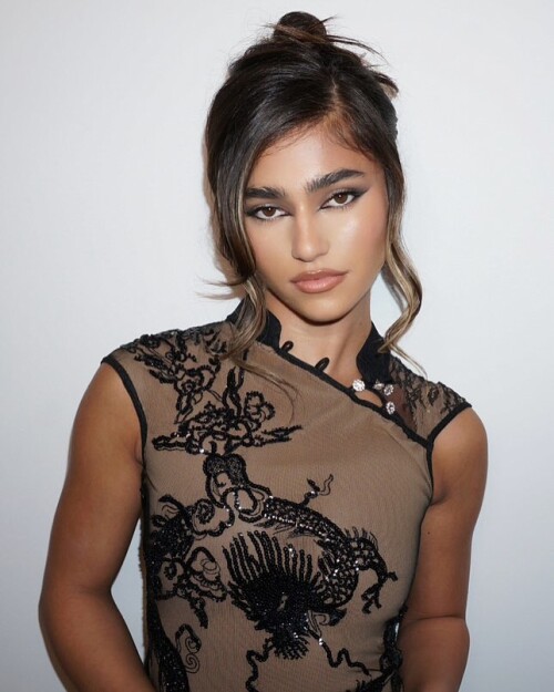 IMG 06240a74637c6101c379