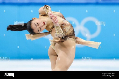 IMG 06626472efc0d3a446f7