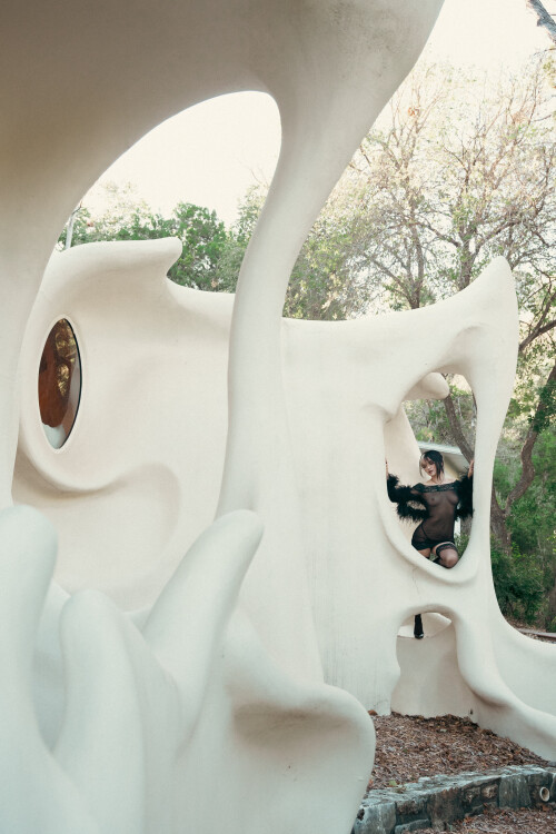 IMG 07588cc203537f19bee4