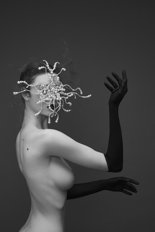 IMG 08313458f27c1d869bf8