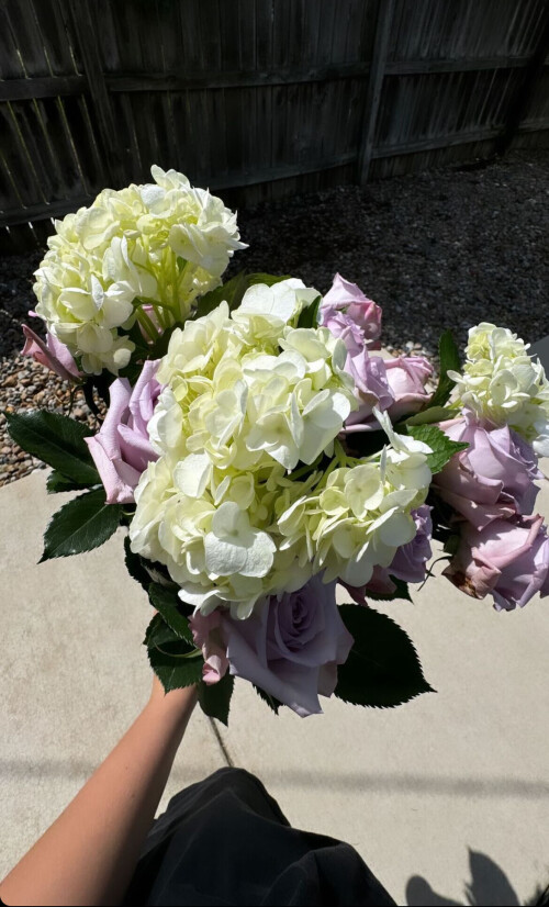 IMG 083213b66c10a590a112