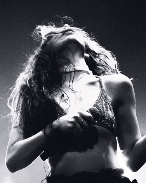 IMG 0854be64206061ca4898