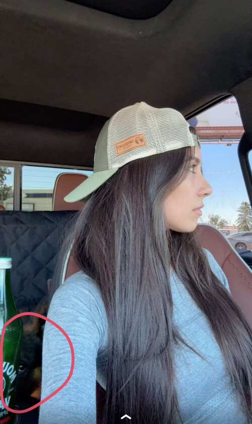 IMG 088565cd46cb16a46ec5