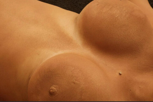 IMG 09254c3c653edb84fb22