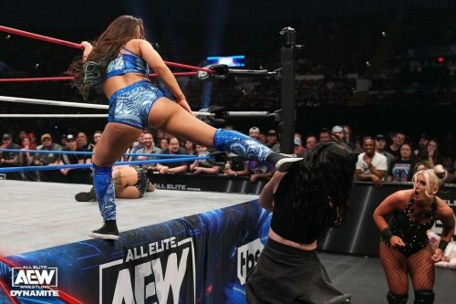 IMG 1133cba7e3d376f1e300