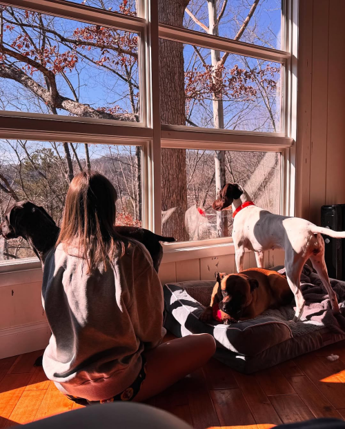 IMG_1139a7dad51f04cb1070