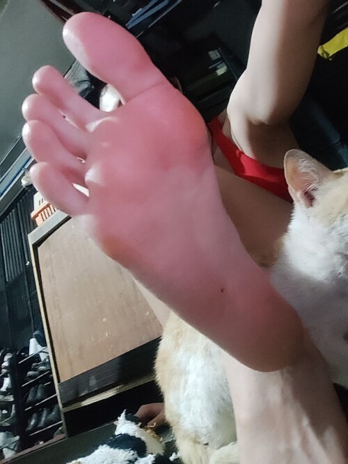 IMG 1189270e46eb15666fe4