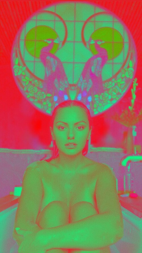 IMG 12020fa2e2645d85e0f4