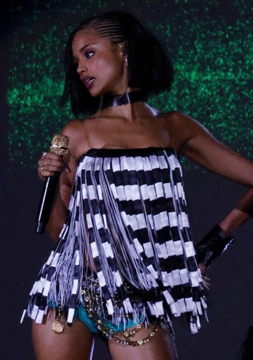 IMG 12378fca6671d5353055