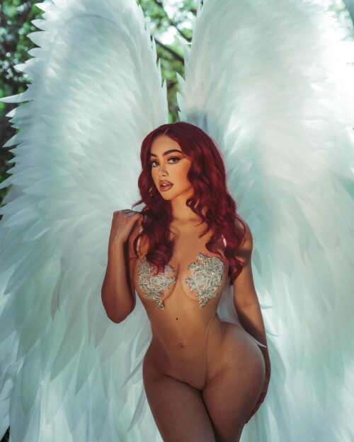 IMG 1263b48bfa2eb60fcfdb