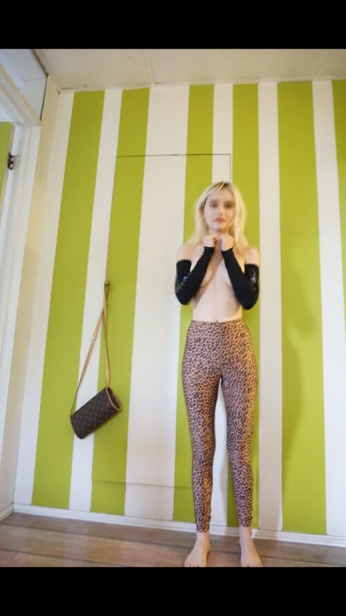 IMG 12865fa64c0bc0a9ea04