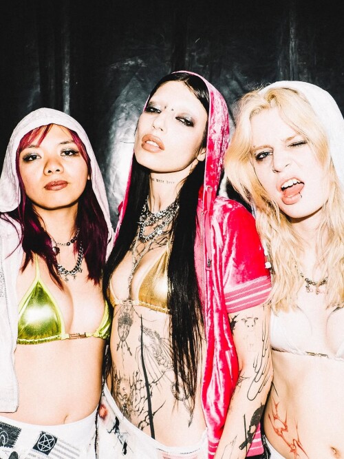 IMG 1292a54987db7087b245