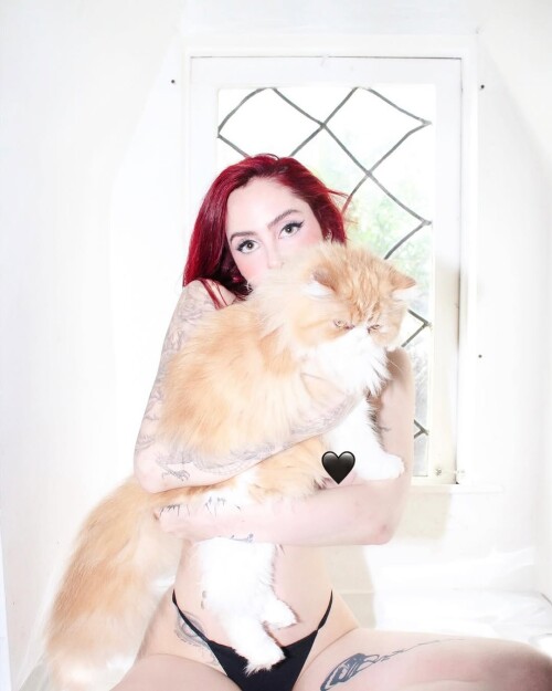 IMG 134274d5468a945c978f