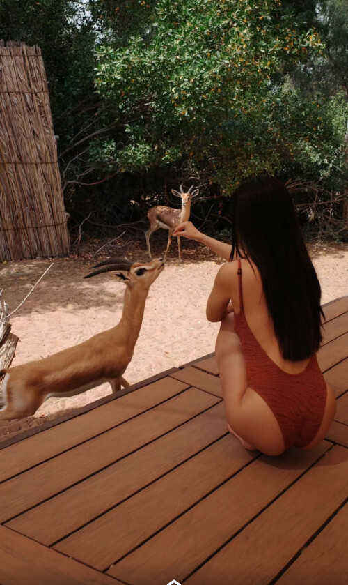 IMG 1352db81f4761000c34d