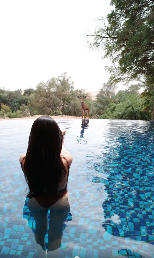 IMG 13532bb91a6098c8f49f