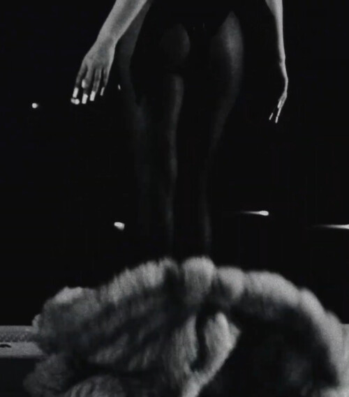 IMG 1362a7b84438895ef236