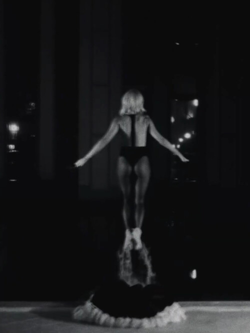 IMG 1369015e342f8c2448d0