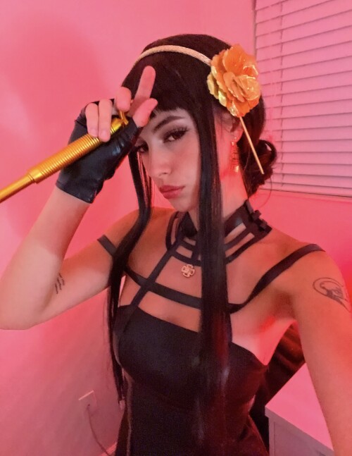 IMG 14431cef8f6c168a2612