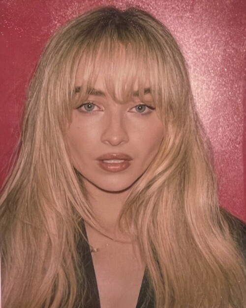 IMG 15301a393689ecf95517