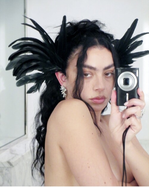 IMG 1550fde2e868ef127b78