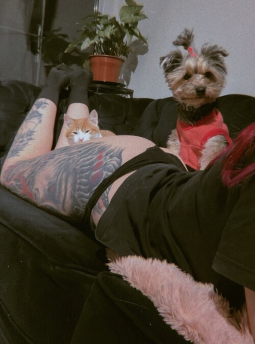 IMG 162618ba84a6293d433f