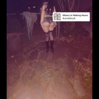 IMG_16468e36332677693c8f