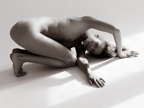 IMG 1651085d00732989c2ee